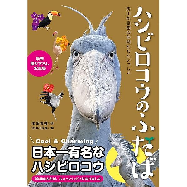 Amazon.co.jp: ハシビロコウのフドウ PHOTO BOOK 電子書籍: 南幅